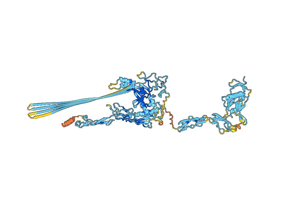 Anti-Human C6/Complement C6 VHH (SAA1039)