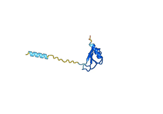 Anti-Human CCL7/MCP-3 Antibody (SAA0539)