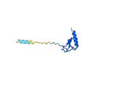 Anti-Human CCL8/MCP-2 Antibody (SAA0457)