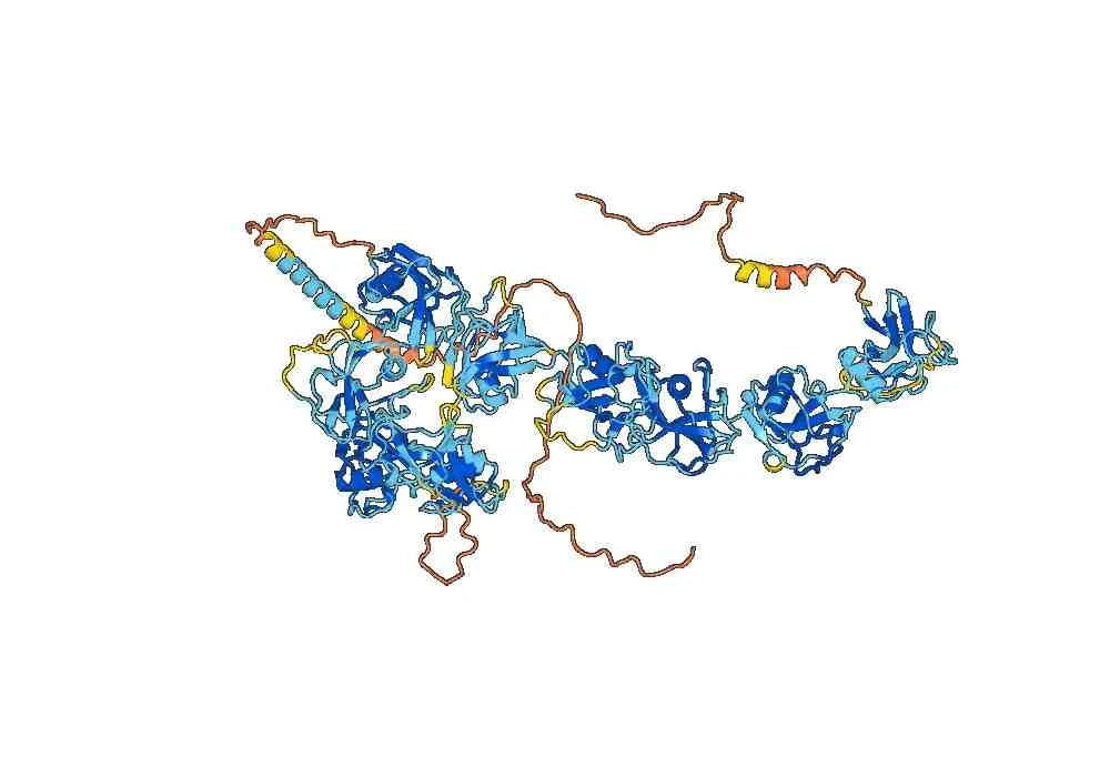 Anti-Human CD163 Antibody (AB101)
