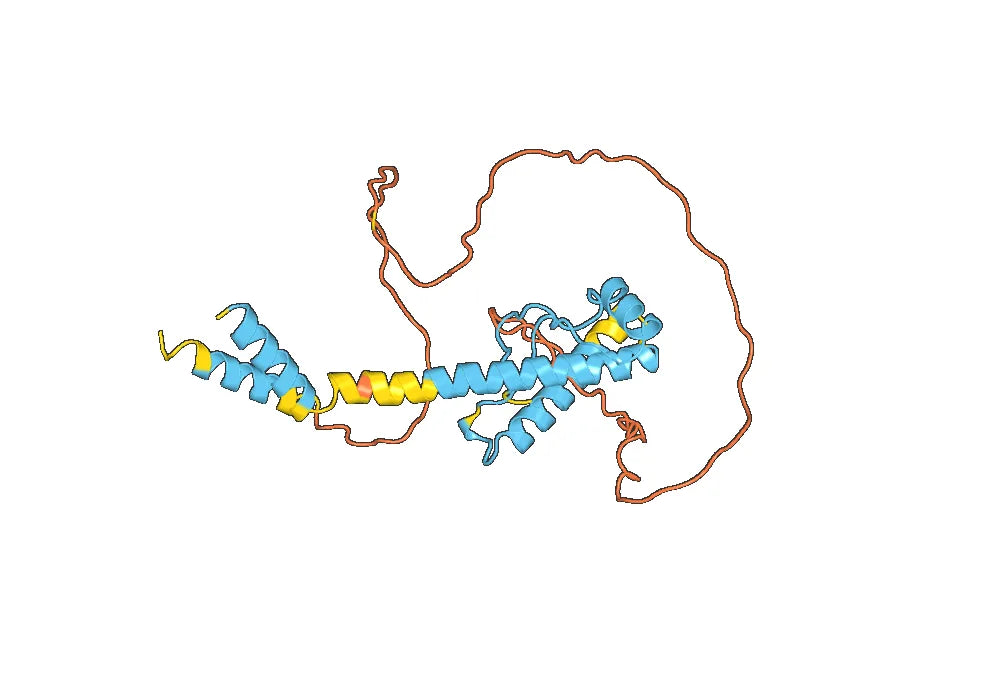 Anti-Human CD230/PRNP VHH (SAA0870)