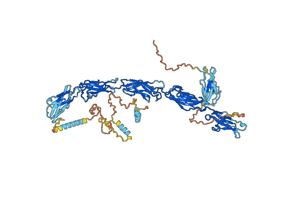 Anti-Human CD324/CDH1 Antibody (SAA0269)