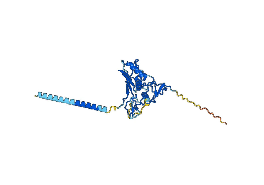 Anti-Human CD326/EPCAM VHH (SAA1341)