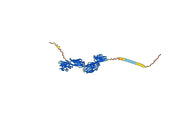 Anti-Human CD4 Antibody (OKT4A)