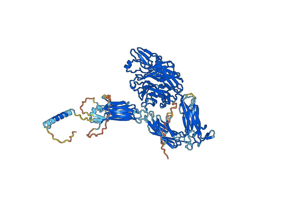 Anti-Human CD41/ITGA2B & CD61/ITGB3 Antibody (OPG2)