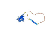 Anti-Human CD69 Antibody (SAA0819)