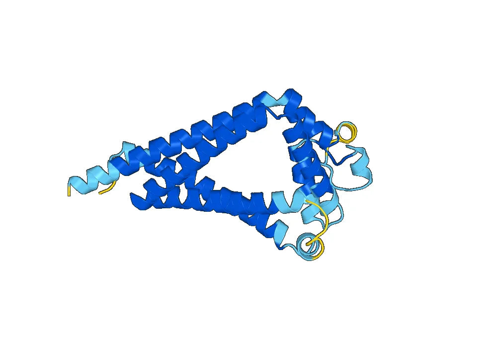 Anti-Human CD9 Antibody (SAA1392)