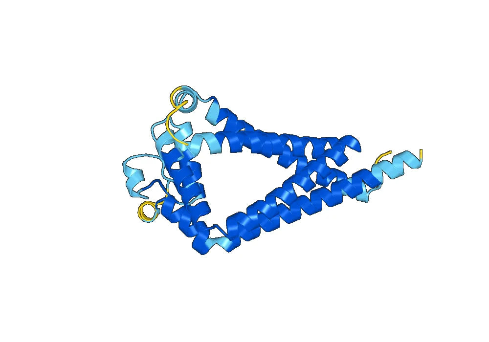 Anti-Human CD9 VHH (SAA0905)