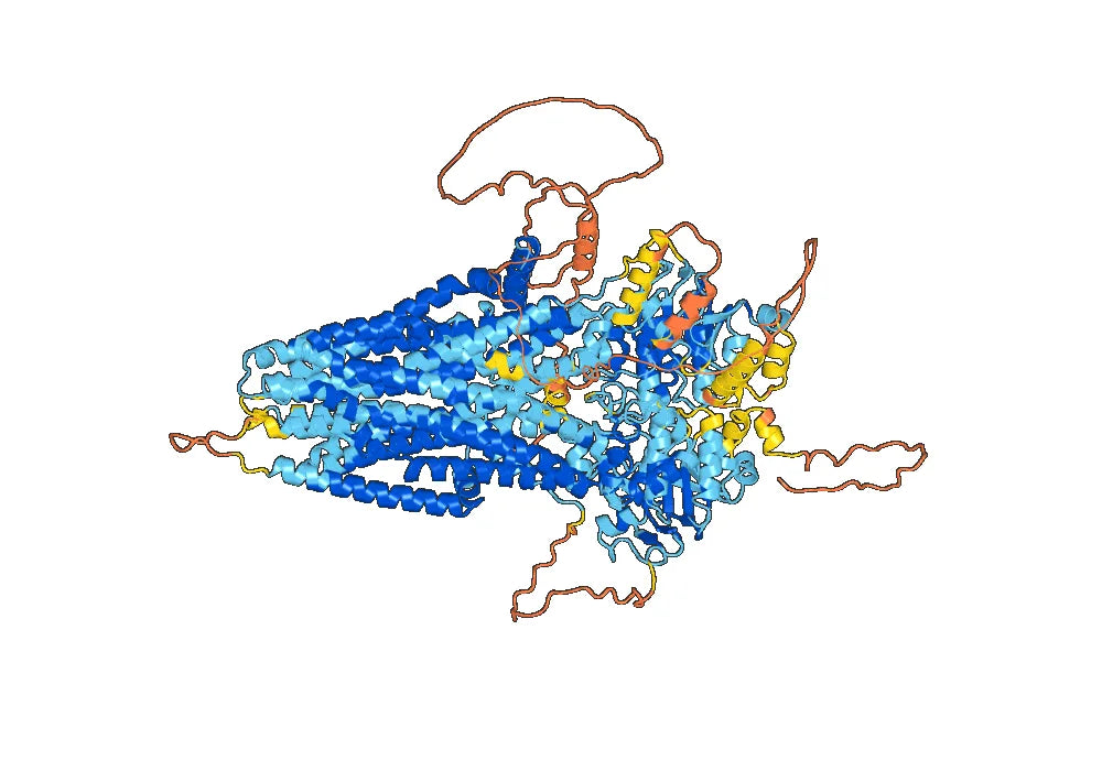 Anti-Human CFTR VHH (SAA0794)
