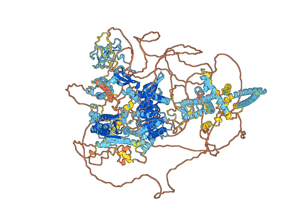 Anti-Human CHD3 IP Antibody (SAA0258)