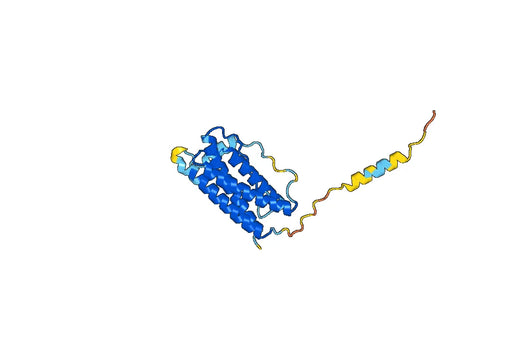 Anti-Human CSF3/G-CSF Antibody (SAA0419)
