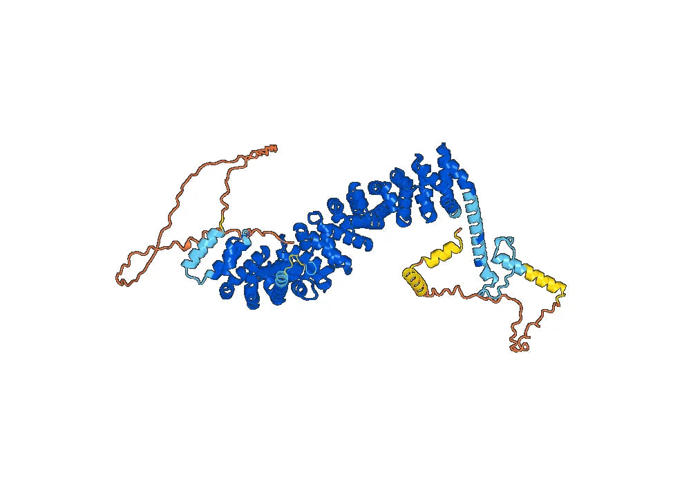 Anti-Human CTNNB1 VHH (SAA1410)