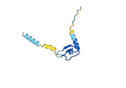 Anti-Human CXCL13/BCA-1/BLC Antibody (SAA0468)