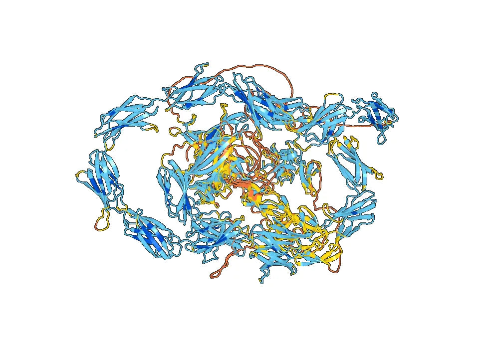 Anti-Human EDB/EDB-FN Antibody (SAA1375)