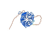 Anti-Human EED IP Antibody (SAA0245)