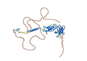 Anti-Human EPOR VHH (SAA0954)
