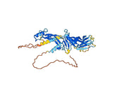 Anti-Human GDF2/BMP9 Antibody (SAA0427)