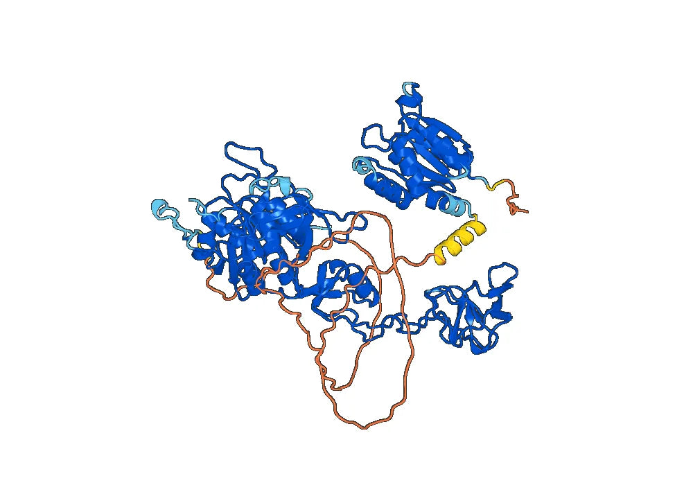 Anti-Human GPHN/Gephyrin VHH (SAA1333)