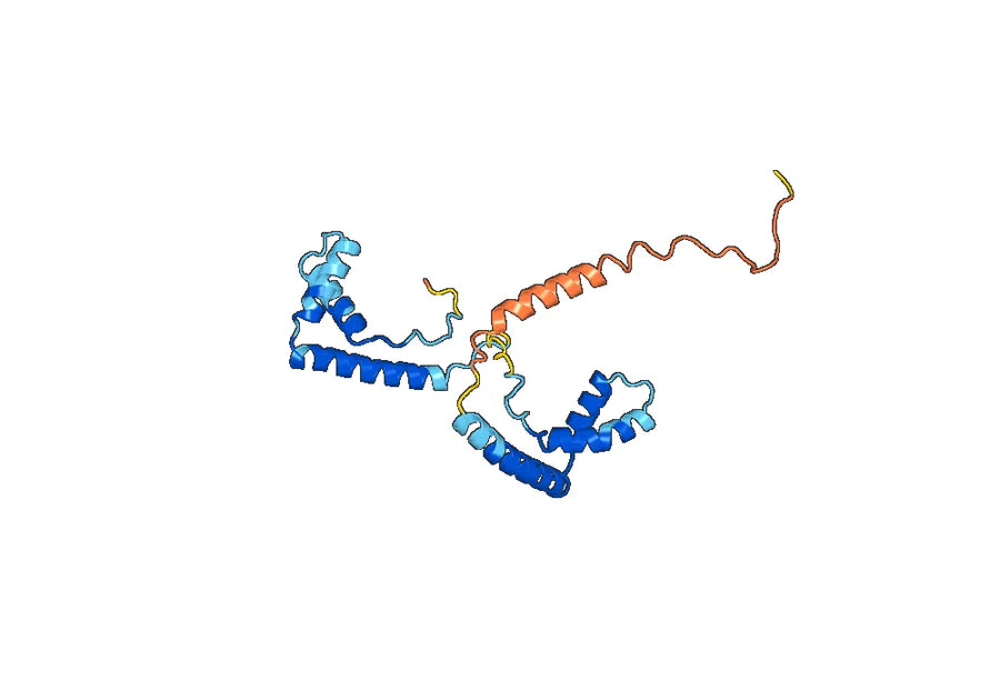 Anti-Human HMGB1 Antibody (SAA0503)