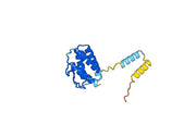 Anti-Human IL15 Antibody (SAA0384)