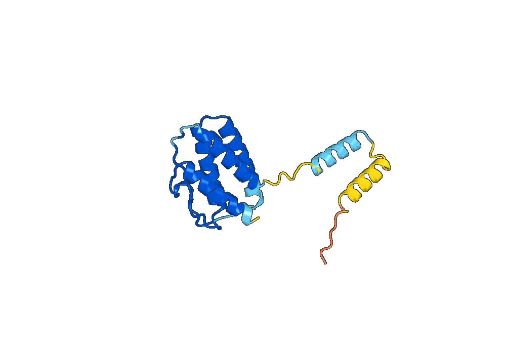 Anti-Human IL15 Antibody (SAA0384)