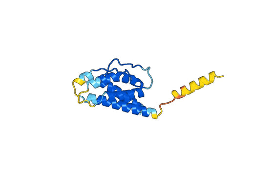Anti-Human IL2 Antibody (SAA0370)