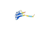 Anti-Human IL21 Antibody (SAA0390)
