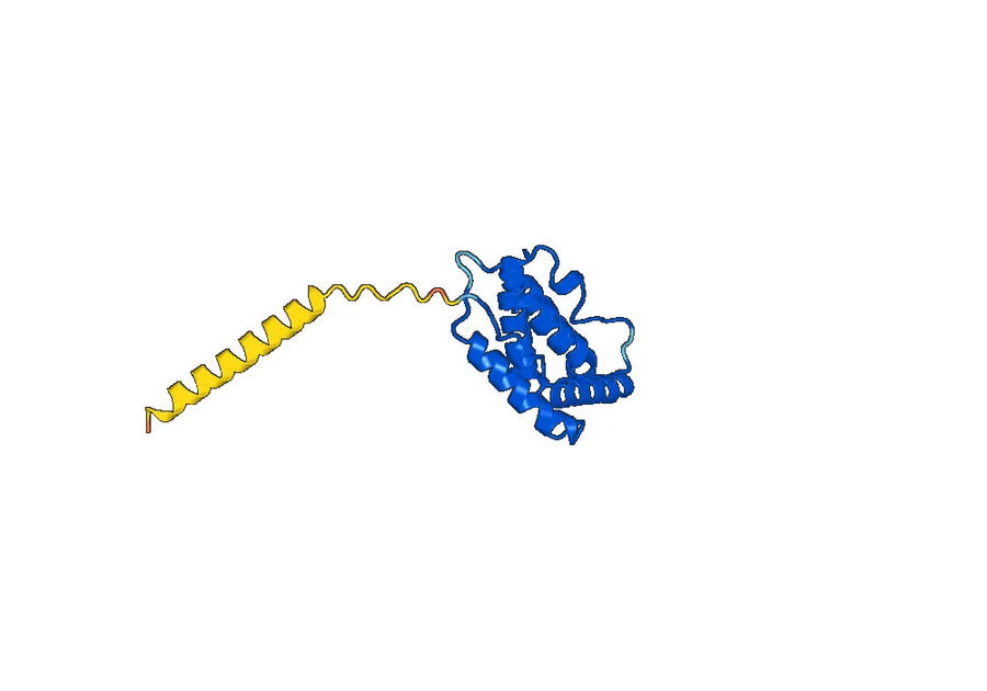 Anti-Human IL22 Antibody (SAA0391)