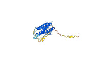 Anti-Human IL23A Antibody (SAA0312)
