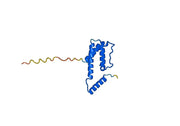 Anti-Human IL5 Antibody (SAA0372)