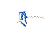 Anti-Human IL5 Antibody (SAA0374)