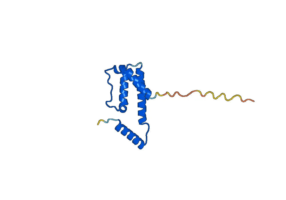 Anti-Human IL5 Antibody (SAA0374)