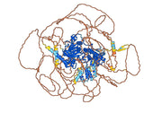Anti-Human KDM6B IP Antibody (SAA0207)