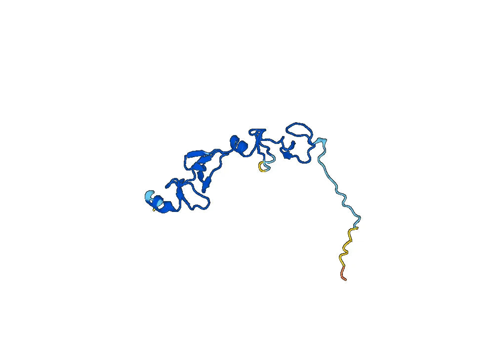 Anti-Human LMO2 VHH (SAA0919)