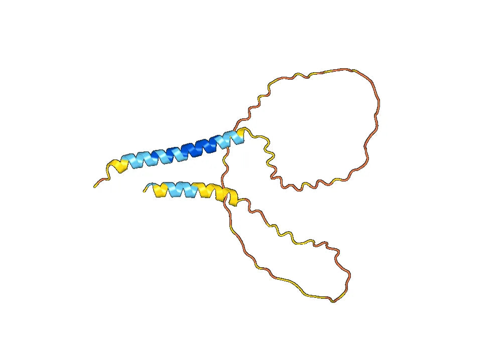 Anti-Human/Mouse PDPN/Podoplanin Antibody (SAA0351)