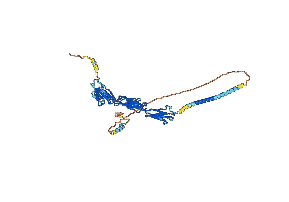 Anti-Human NECTIN4/PVRL4 Antibody (SAA0403)