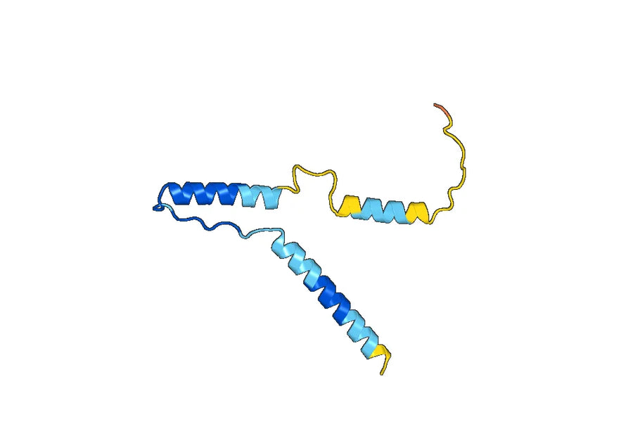 Anti-Human NPY/PYY Antibody (5E12#)