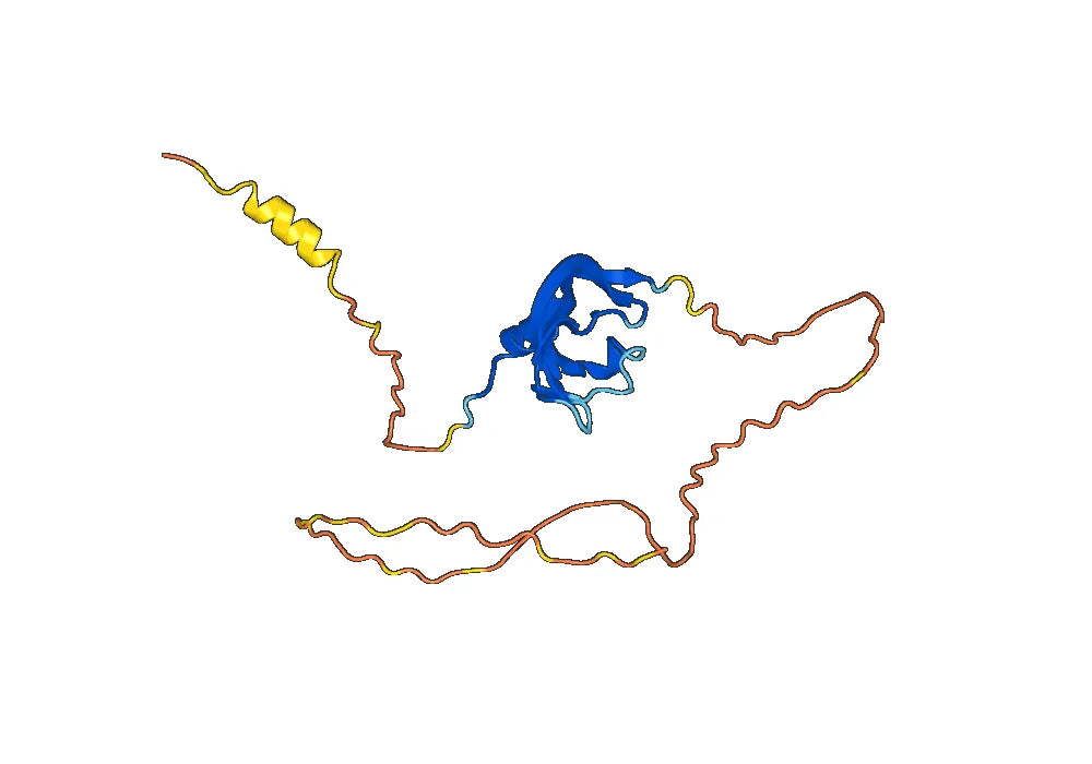 Anti-Human PGF/PlGF Antibody (SAA0478)