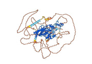 Anti-Human PHF8 IP Antibody (SAA0216)