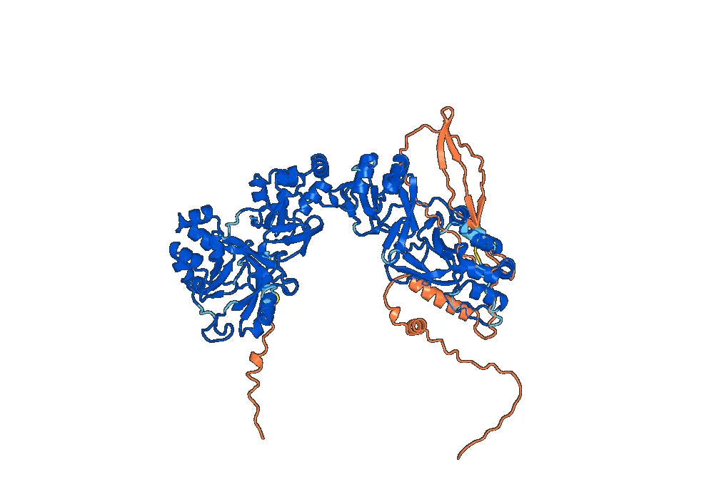 Anti-Human POSTN/OSF-2 Antibody (LG2)