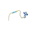 Anti-Human PPBP/CXCL7/NAP-2 Antibody (SAA0464)