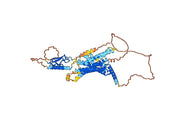Anti-Human PTH1R VHH (SAA1275)