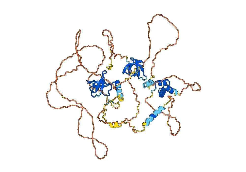 Anti-Human TDRD3 IP Antibody (SAA0234)