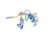 Anti-Human TGFB3/TGF-beta-3 Antibody (SAA0445)
