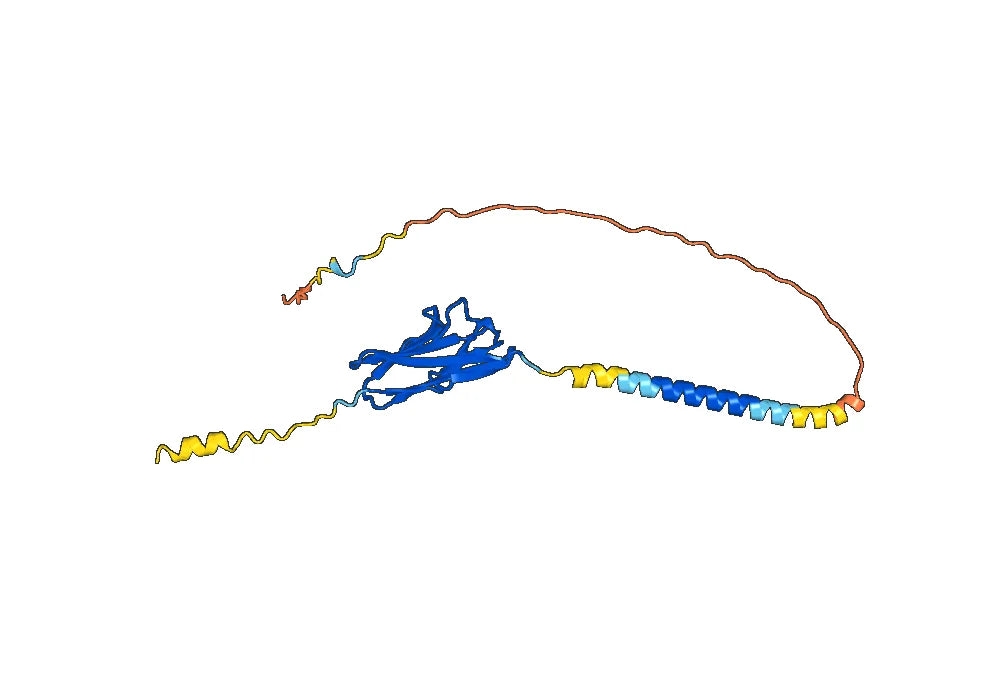 Anti-Human TIGIT Antibody (SAA1407)