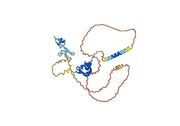 Anti-Human VEGFA Antibody (SAA0446)