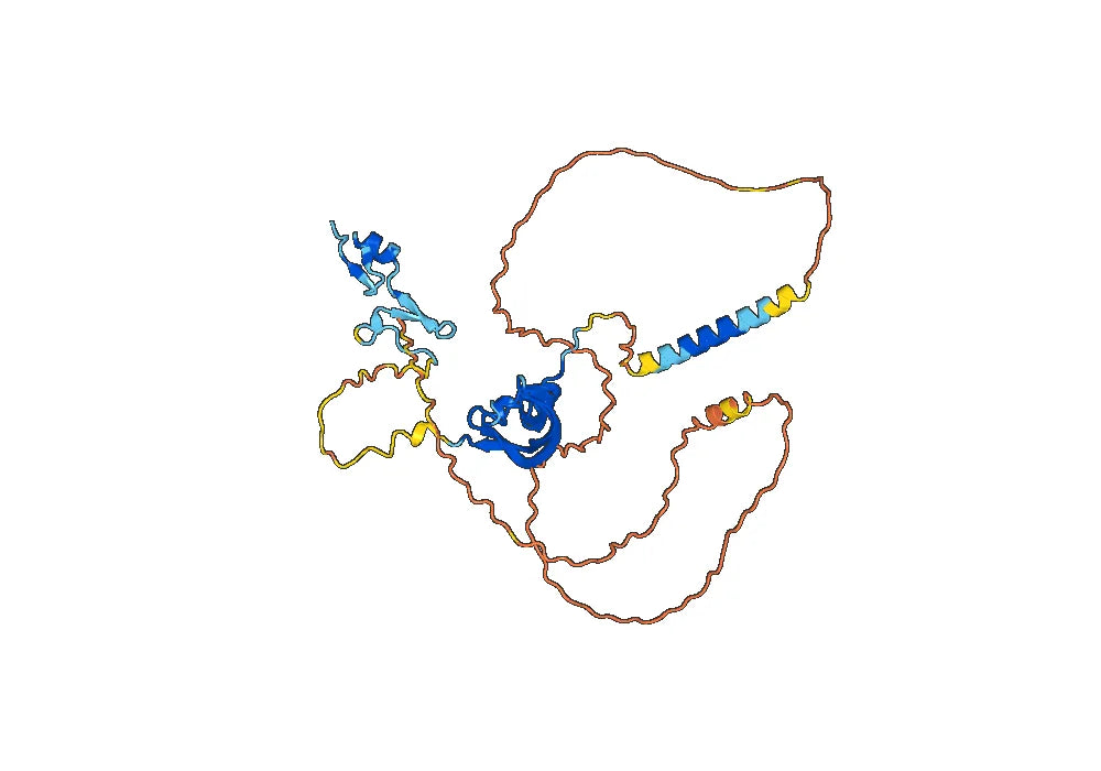 Anti-Human VEGFA Antibody (SAA0446)