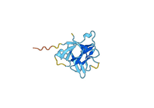 Anti-IL1RN Polyclonal antibody