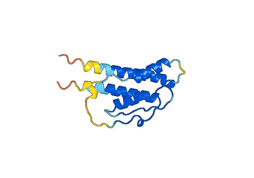 Anti-IL21 Polyclonal antibody