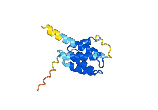 Anti-IL3 Polyclonal antibody